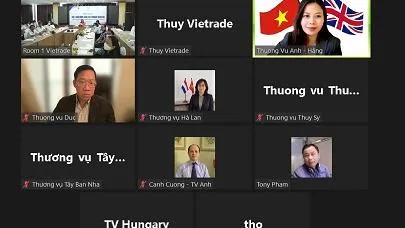 Xuất khẩu dứa sang thị trường châu Âu cần lưu ý gì?