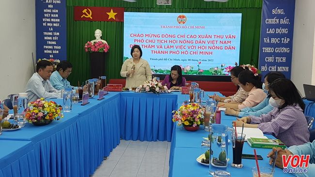 Phó Chủ tịch Hội Nông dân Việt Nam Cao Xuân Thu Vân làm việc với Hội Nông dân TPHCM