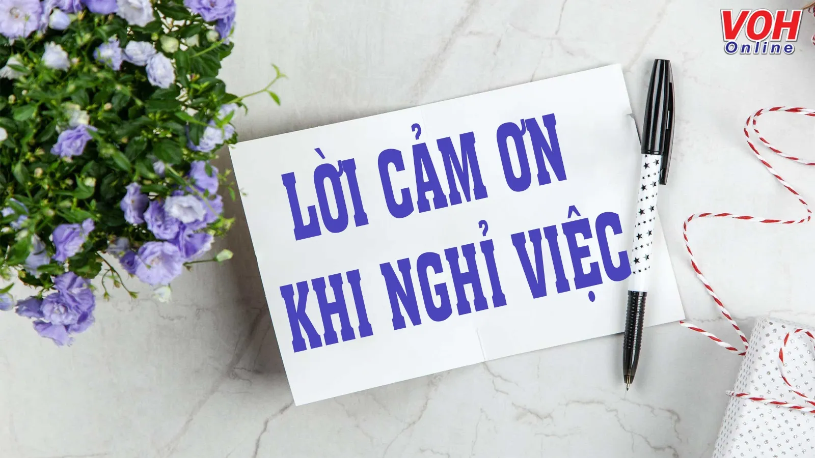 40 lời cảm ơn sếp và đồng nghiệp trước khi nghỉ việc chia tay hay nhất