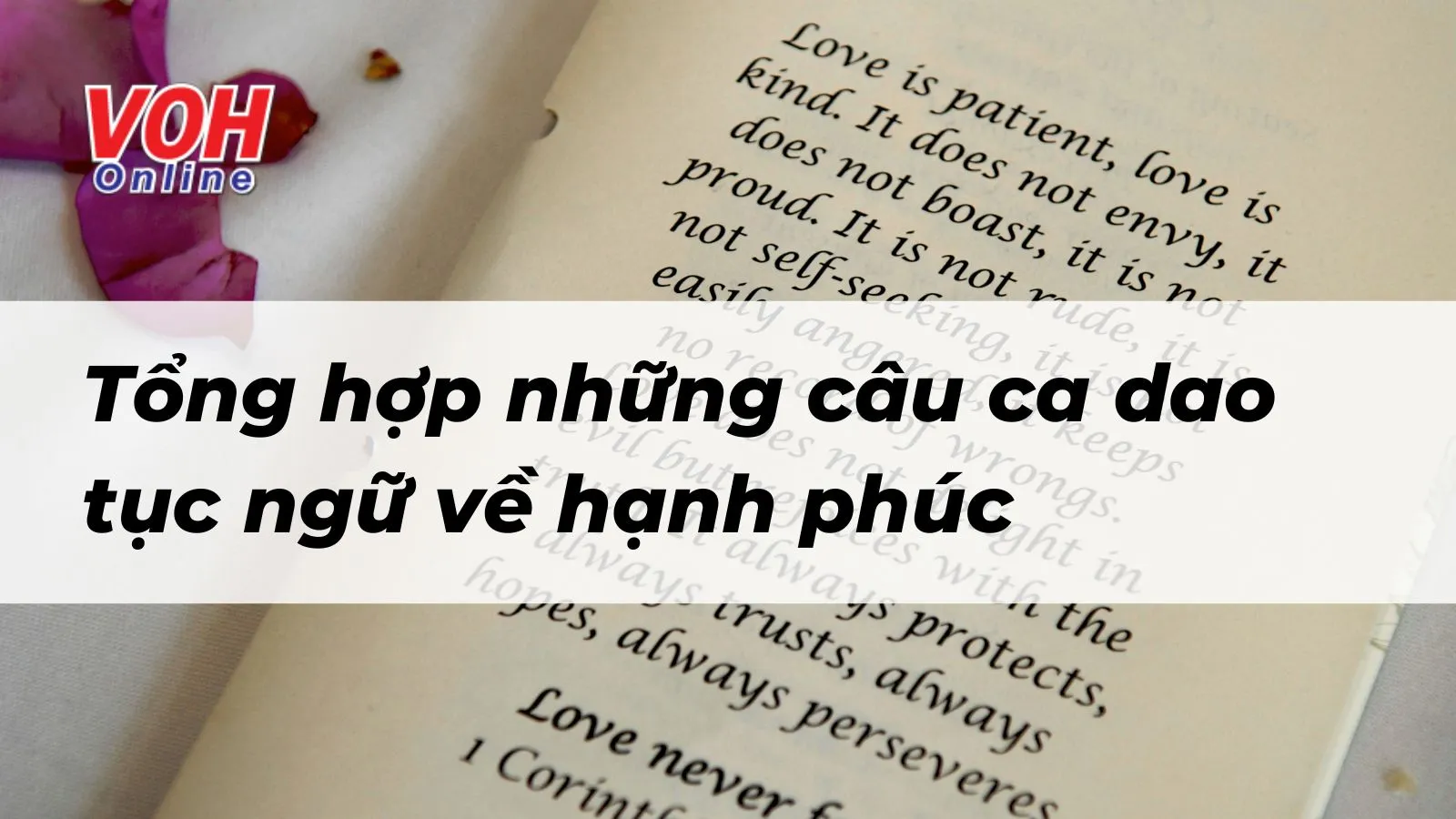 Sưu tầm 55 câu ca dao tục ngữ nói về hạnh phúc trong cuộc sống