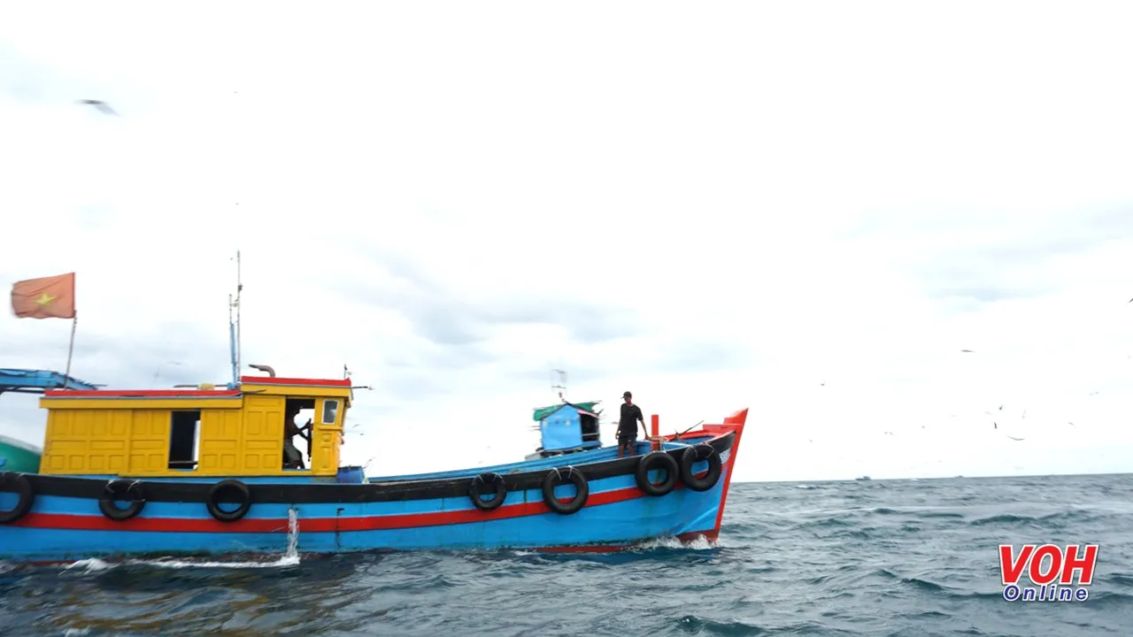 Năm 2025 sẽ cắt giảm 10% hạn ngạch Giấy phép khai thác thủy sản vùng khơi