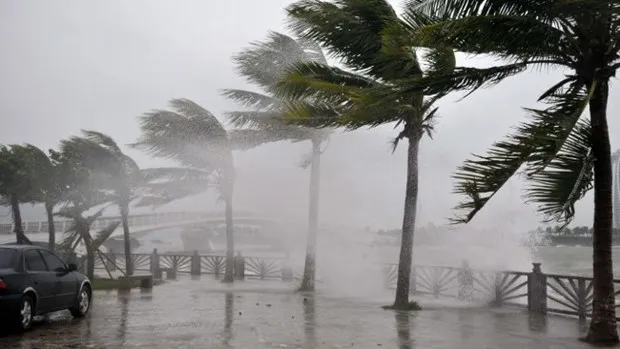 Siêu bão Noru vào Philippines: Mưa lớn, gió mạnh làm đổ cây và đường dây điện