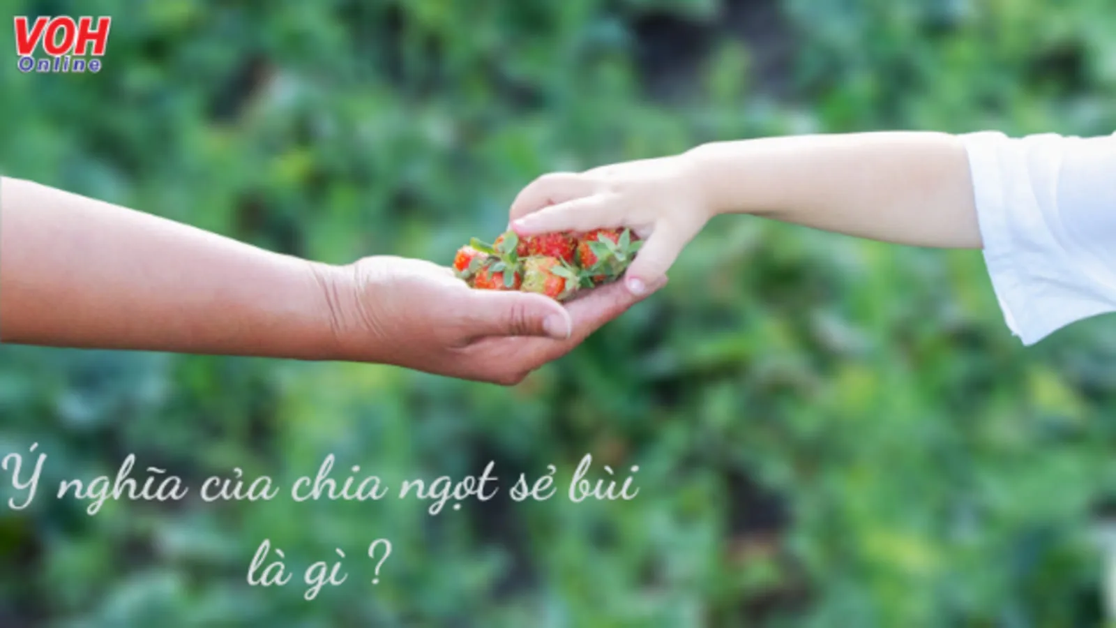 Giải thích ý nghĩa tục ngữ Chia ngọt sẻ bùi khuyên ta điều gì?