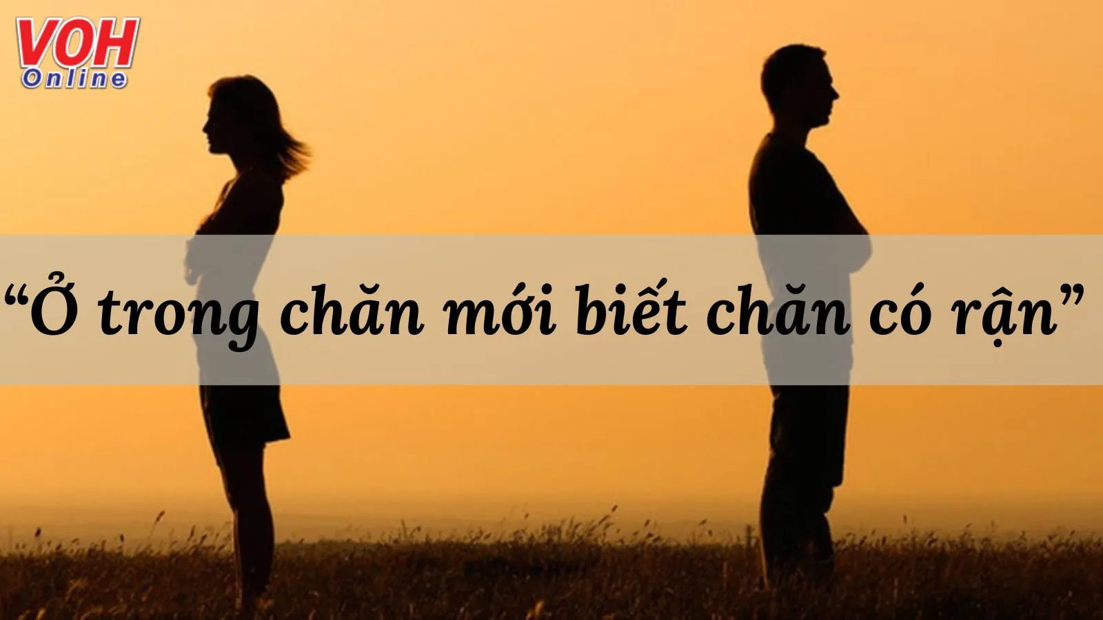 Giải thích ý nghĩa tục ngữ ‘Ở trong chăn mới biết chăn có rận’ nói về điều gì?