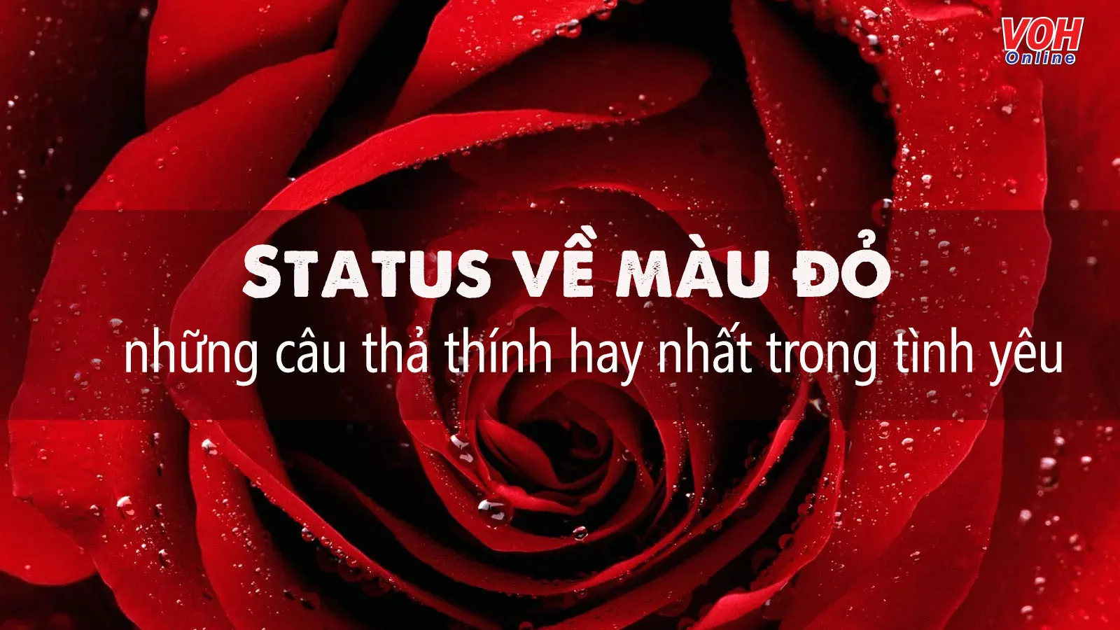 35 status về màu đỏ thả thính, cap về màu đỏ ngắn gọn, hay nhất