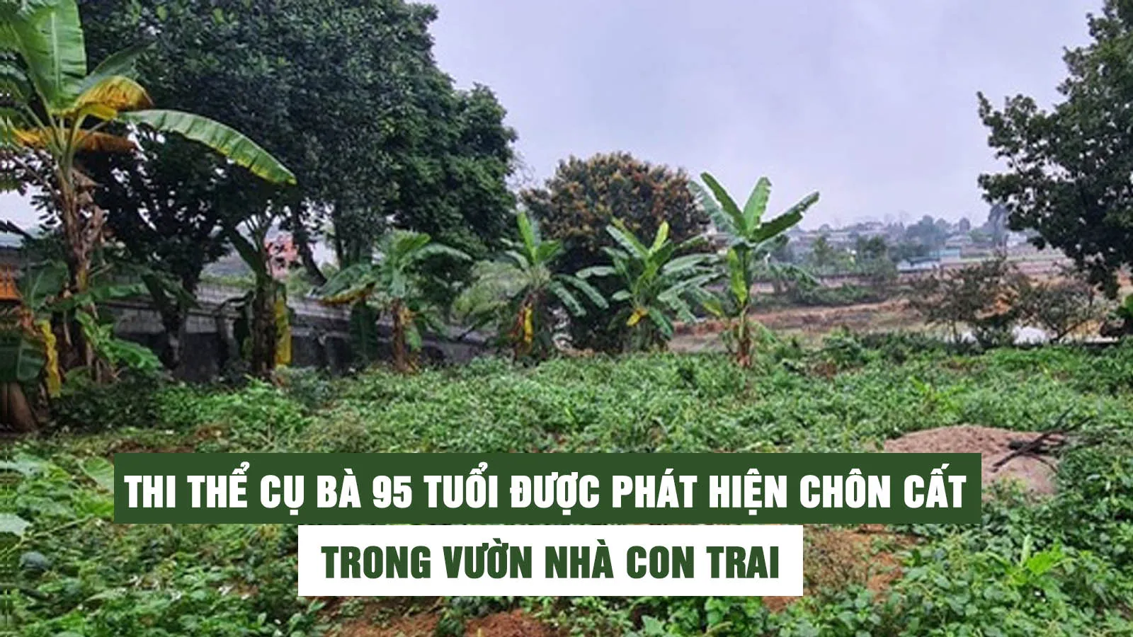 Con trai tự chôn cất mẹ 95 tuổi trong vườn nhà vì sợ phiền mọi người?