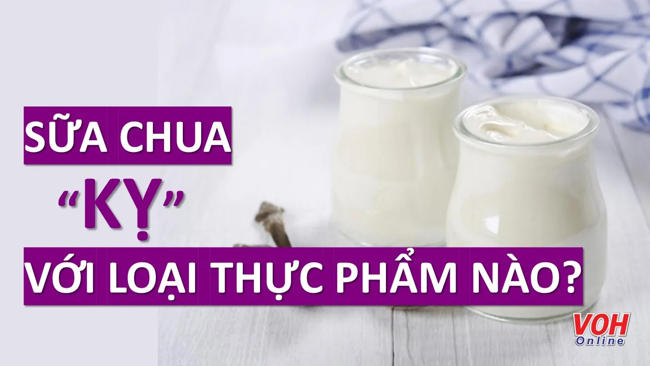 Sữa chua kỵ với loại thực phẩm gì?