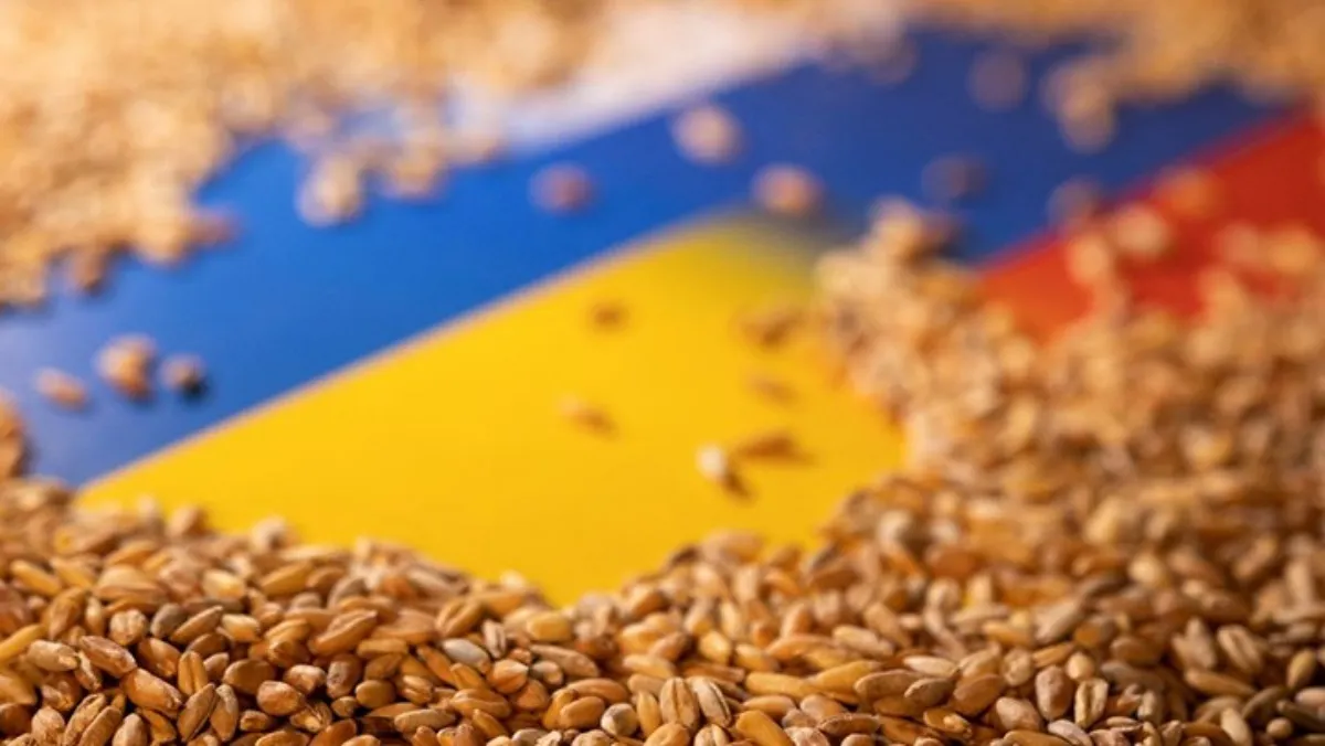 Bản tin thị trường hôm nay: Sản lượng ngũ cốc của Nga tăng khi sáp nhập 4 vùng Ukraine
