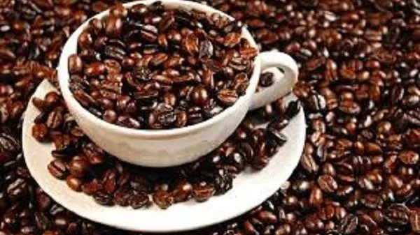 Giá cà phê hôm nay 5/10/2022: Giá cà phê Arabica phục hồi tăng trở lại