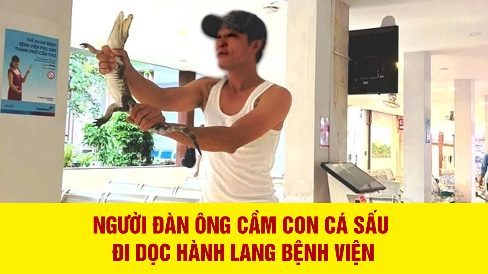 Người đàn ông cầm con cá sấu đi dọc hành lang bệnh viện