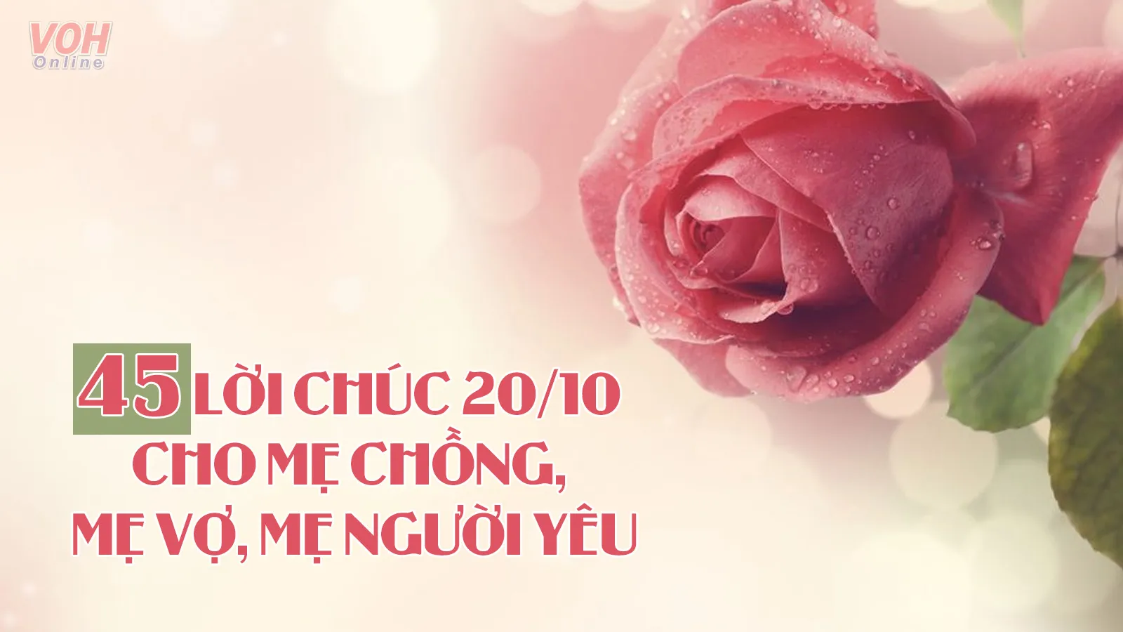 45 lời chúc mừng 20/10 cho mẹ chồng, mẹ vợ, mẹ người yêu hay nhất