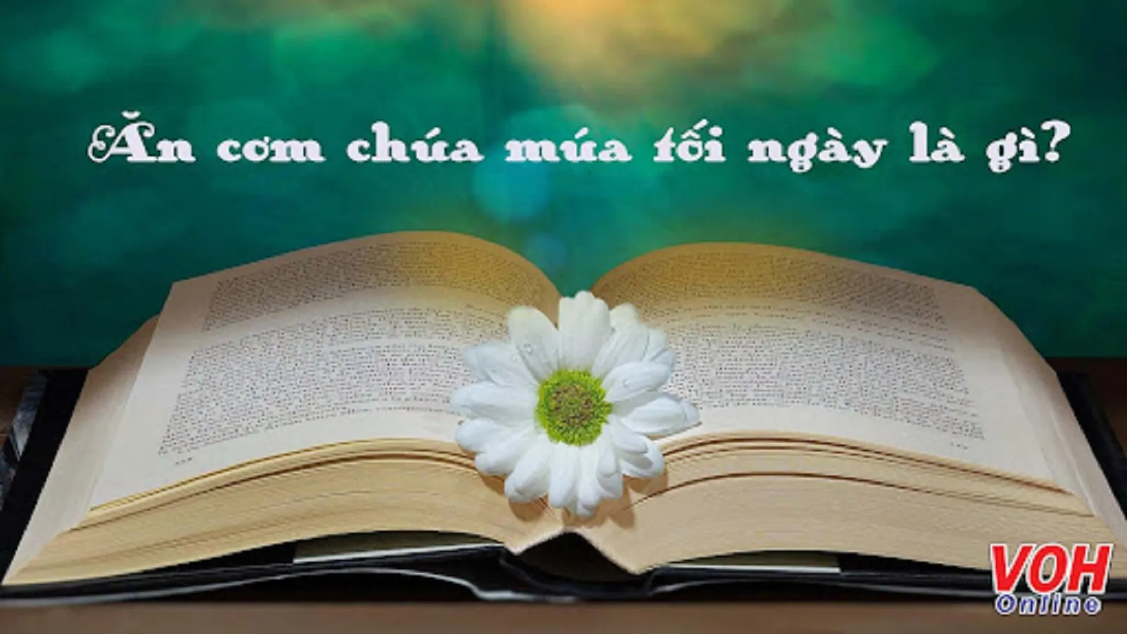 Giải thích ý nghĩa tục ngữ ‘Ăn cơm chúa múa tối ngày’ có phải nói về thói lười biếng?