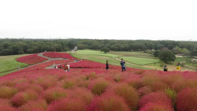 Việt Nam nằm trong top đầu khách quốc tế đến Nhật Bản