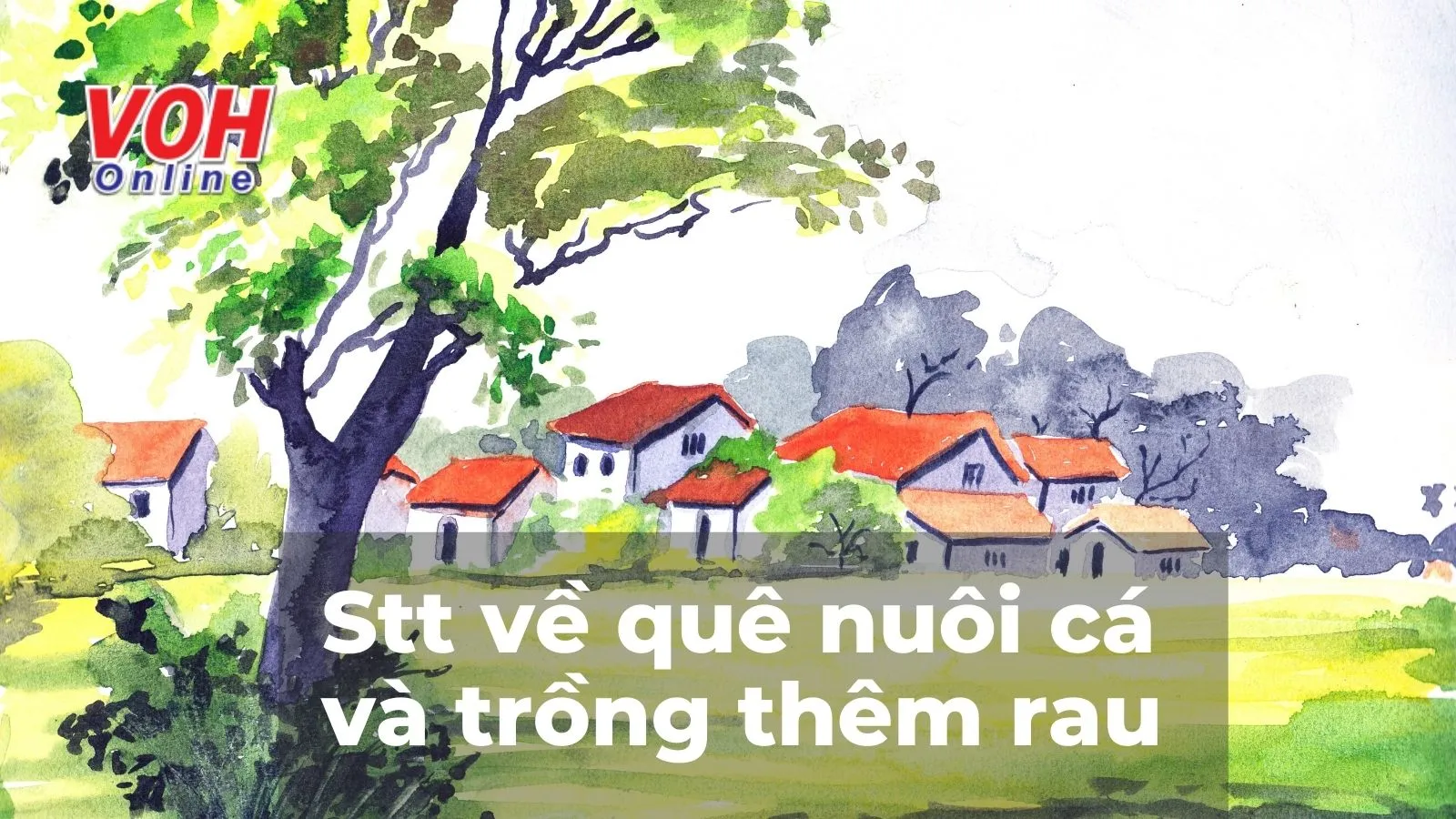 100 stt về quê trồng rau nuôi cá, cap về quê nuôi cá trồng thêm rau hài hước