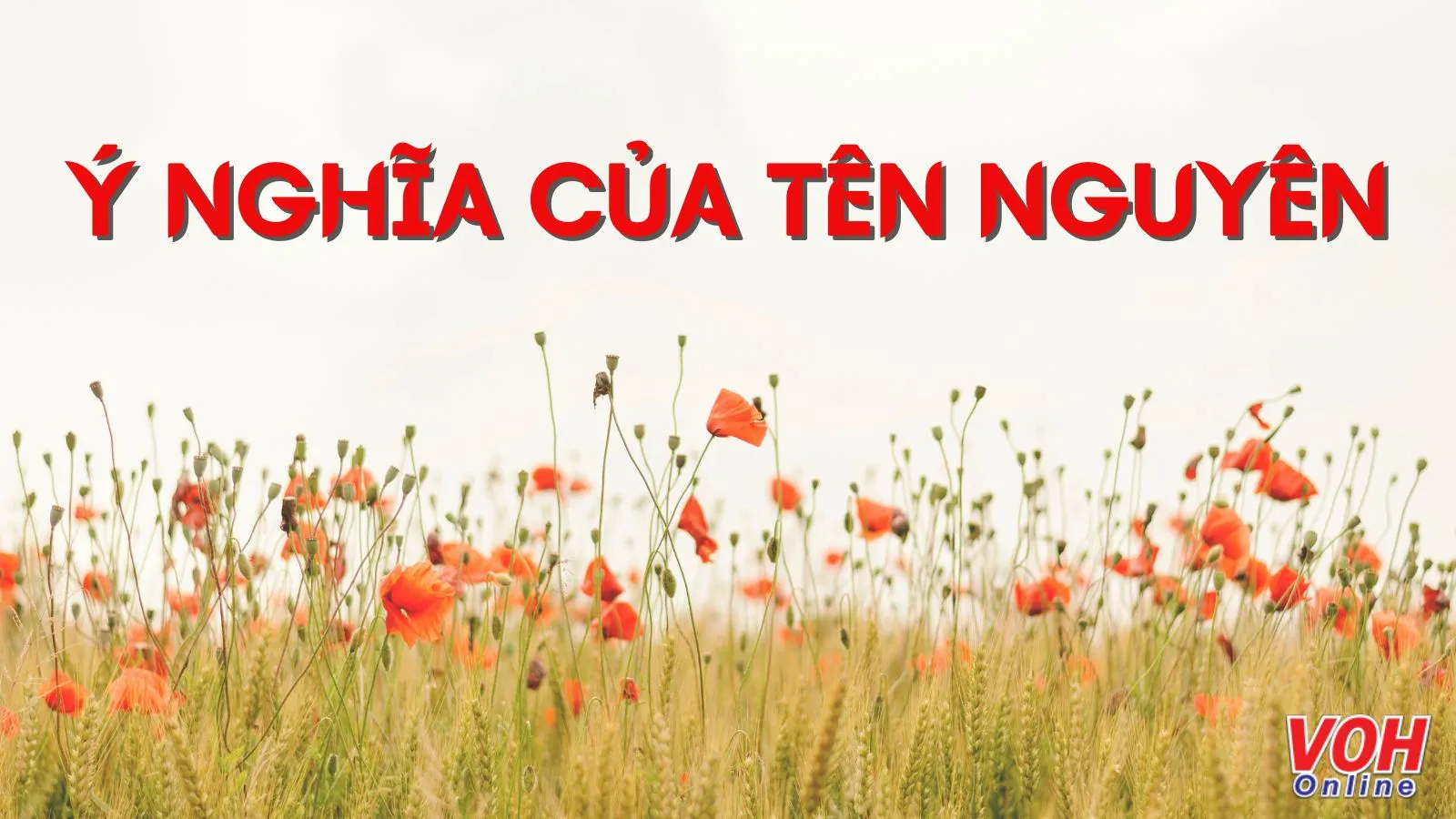 Tên Nguyên An Có Ý Nghĩa Gì? Khám Phá Ý Nghĩa, Phong Thủy Và Cách Đặt Tên