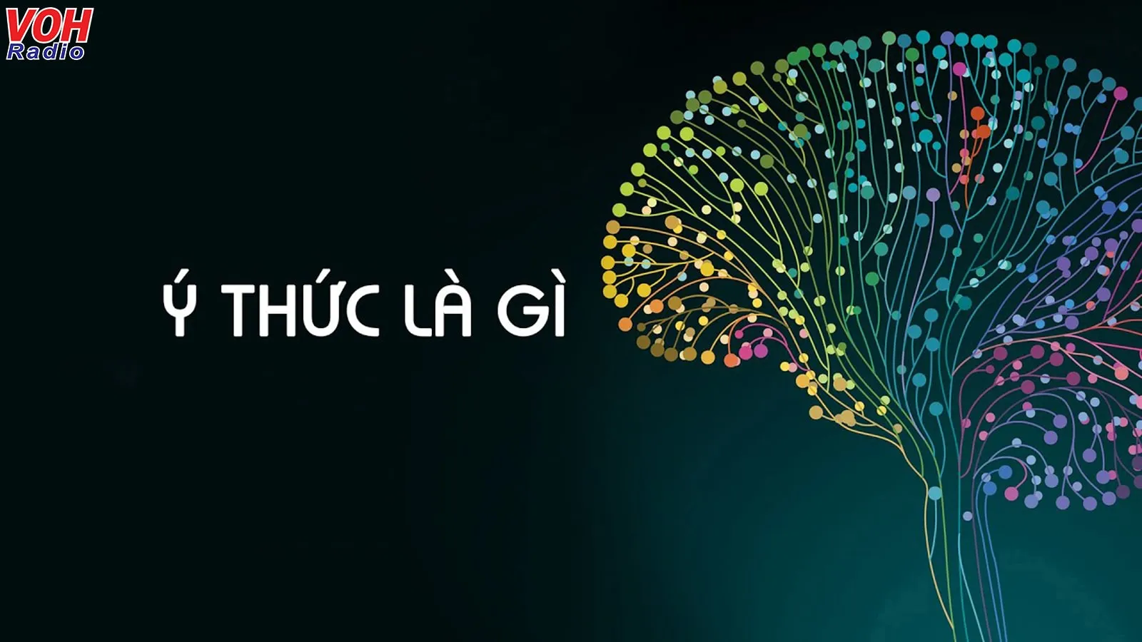 Ý thức là gì? Nguồn gốc và vai trò của ý thức đối với mỗi con người