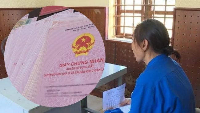 Thuê người làm giả sổ đỏ trên khu đất bỏ hoang