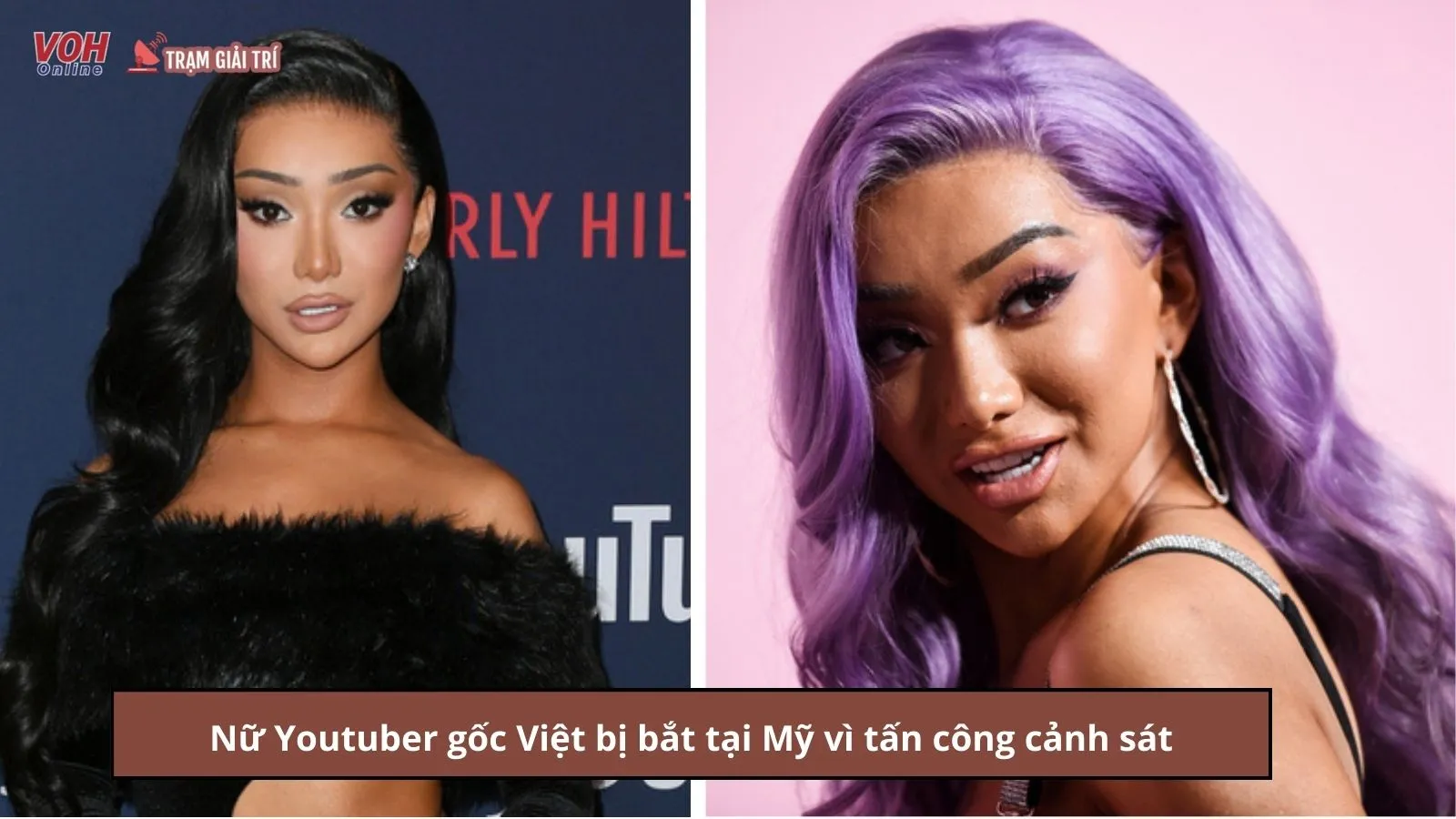 Nữ Youtuber gốc Việt bị bắt tại Mỹ vì tấn công cảnh sát