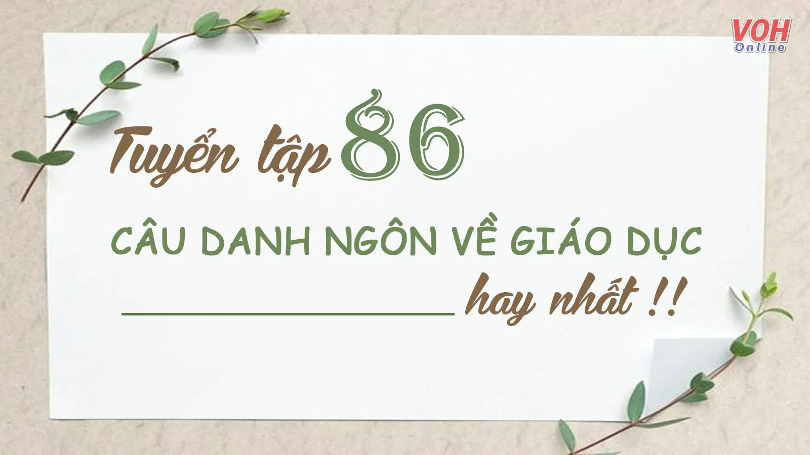 86 câu nói, châm ngôn, danh ngôn về giáo dục hay và ý nghĩa nhất