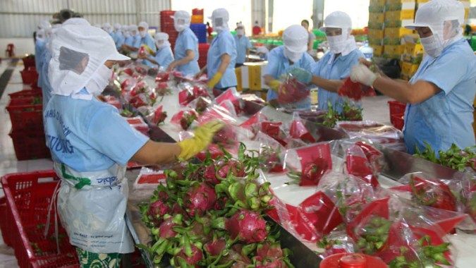 Bản tin thị trường ngày 9/11: Xuất khẩu nông sản Việt Nam tăng mạnh