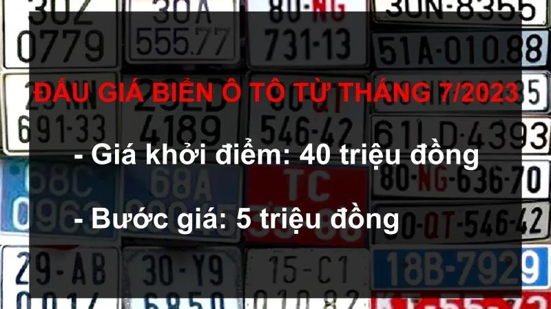 Điểm tin chiều 15/11: Đấu giá biển ô tô từ tháng 7/2023; Giải thể một số vụ, cục của Bộ Y tế