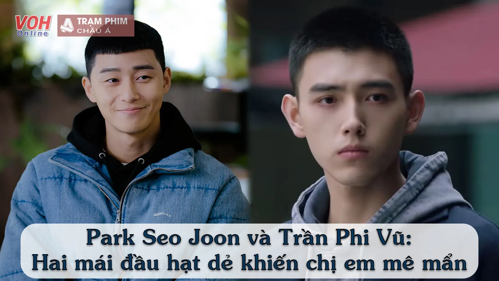 Park Seo Joon - Trần Phi Vũ: Hai chàng trai đầu hạt dẻ mang tội danh làm trái tim chị em điêu đứng