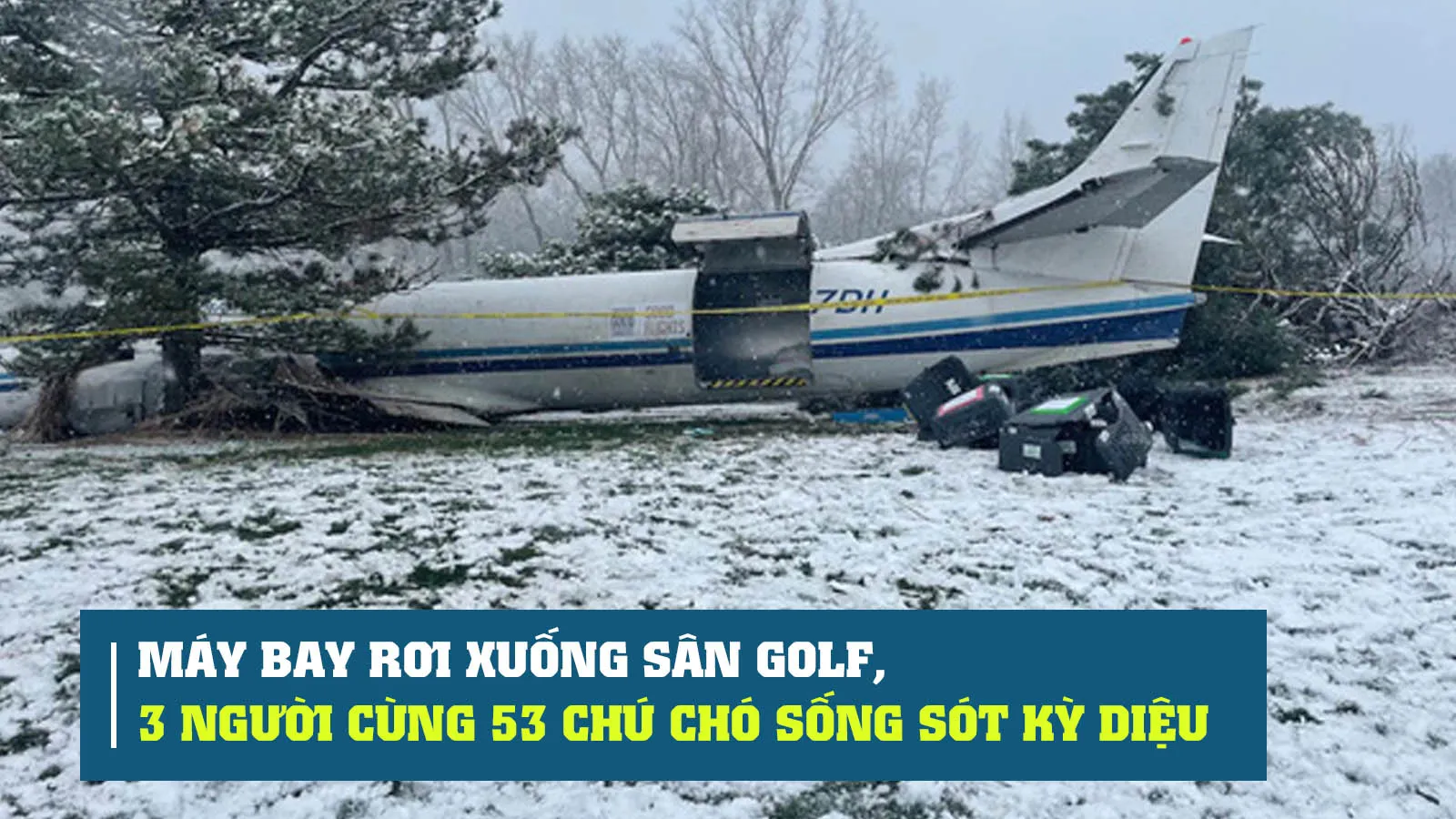 Hy hữu: Máy bay rơi xuống sân golf, 3 người cùng 53 chú chó sống sót kỳ diệu