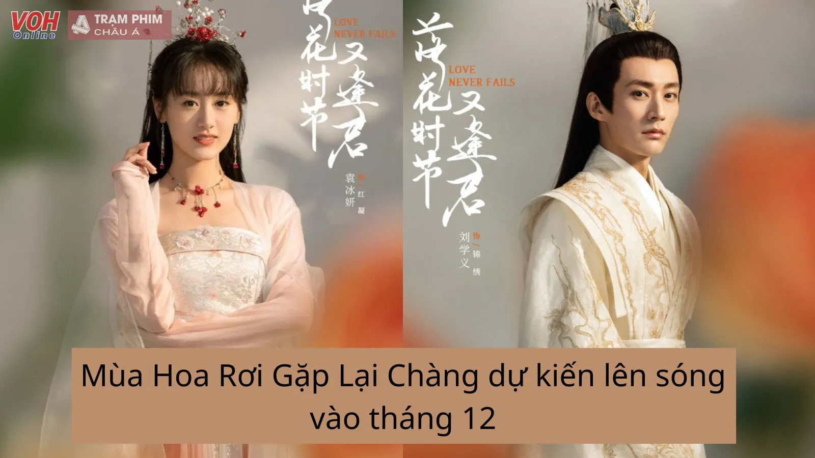 Mùa Hoa Rơi Gặp Lại Chàng dự kiến lên sóng vào tháng 12