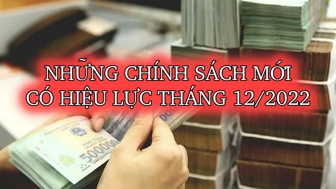Chính sách từ tháng 12/2022: Hộ nghèo được hỗ trợ ĐTTM; Bỏ chứng chỉ ngoại ngữ với viên chức TNMT