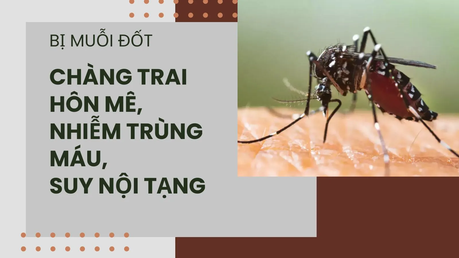 Chàng trai hôn mê, nhiễm trùng máu, suy nội tạng sau khi bị muỗi đốt