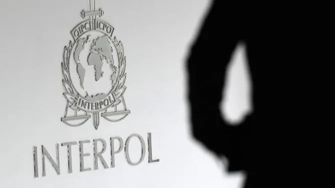 Interpol phá hàng trăm vụ buôn bán trái phép động vật hoang dã