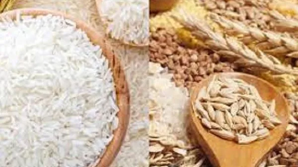 Giá lúa gạo hôm nay 12/12/2022: Nhiều nước mở thầu, Việt Nam mở rộng thị trường xuất khẩu