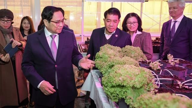 Hà Lan có thể cung cấp giống, công nghệ để nông nghiệp Việt Nam phát triển
