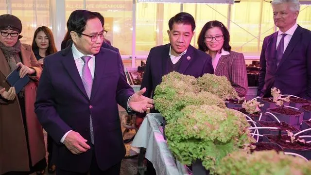 Hà Lan có thể cung cấp giống, công nghệ để nông nghiệp Việt Nam phát triển