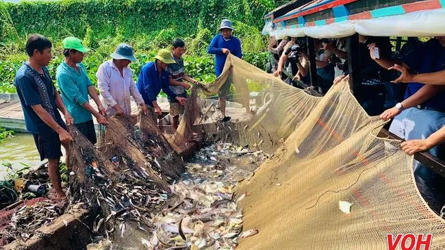 Về Cao Lãnh, dỡ chà đãi bạn