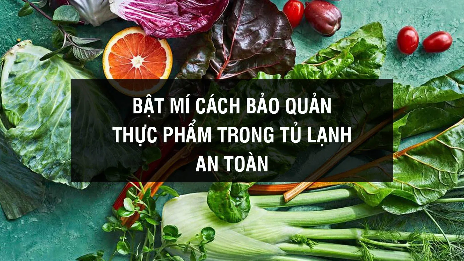 Bật mí cách bảo quản thực phẩm trong tủ lạnh an toàn