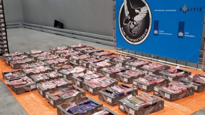 Cơn lũ cocaine đổ về cảng hàng hóa lớn nhất châu Âu