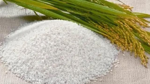 Giá lúa gạo hôm nay 15/12/2022: Doanh nghiệp cần tranh thủ mua vào vụ đông xuân để đẩy mạnh xuất khẩ