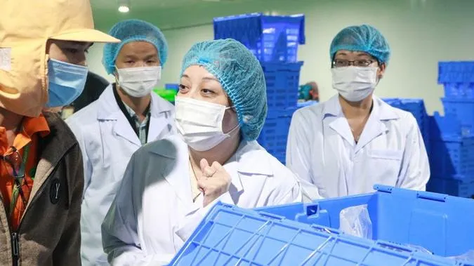 Vấn đề hôm nay: Cần mạnh tay với thực phẩm bẩn