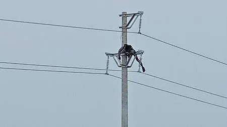 Công nhân điện chết cháy đen trên đường điện trung thế 35 KV