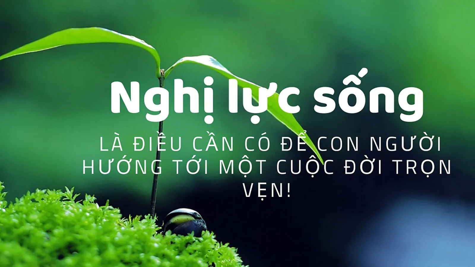 Nghị lực sống là gì? Các câu nói, câu chuyện hay về sống nghị lực