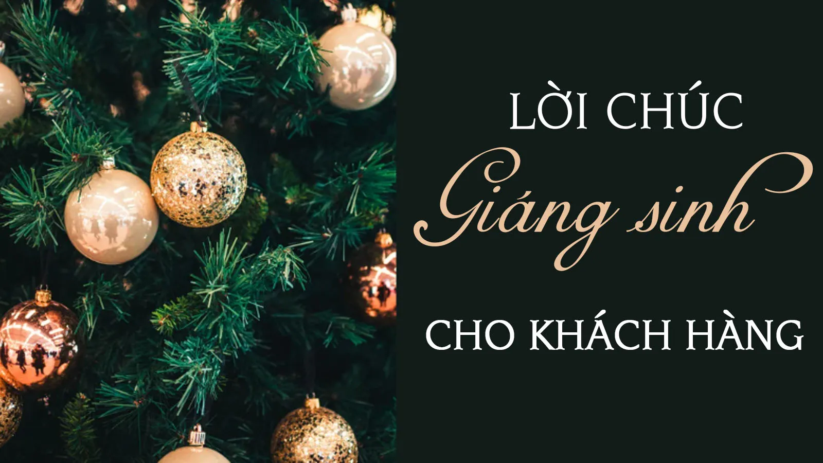 Top 70 lời chúc Giáng sinh cho khách hàng, đối tác hay nhất