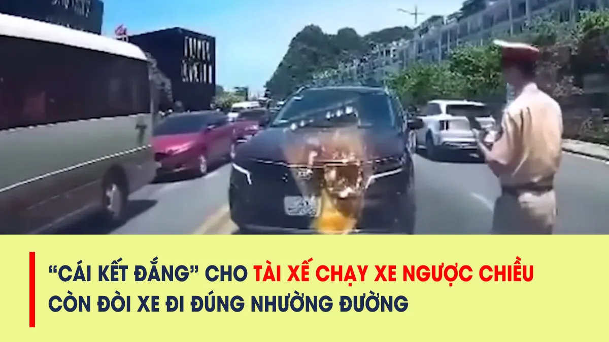 Tài xế chạy xe ngược chiều còn thách thức người đi đúng và cái kết ‘vừa lòng’ dân mạng