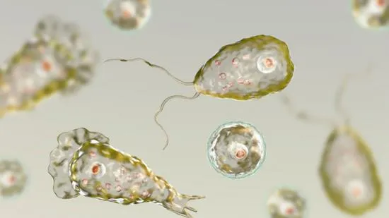 Hàn Quốc: Người đầu tiên nhiễm amip “ăn não người” đã tử vong