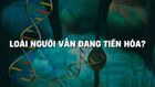 Loài người vẫn đang tiến hóa?