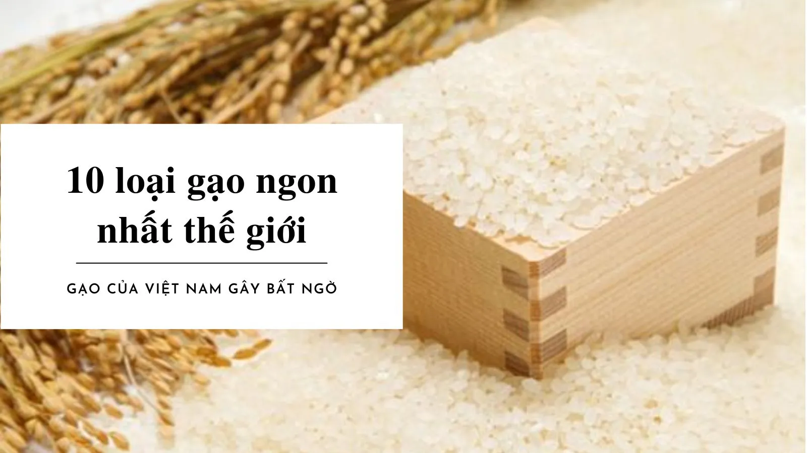 Top 10 loại gạo ngon nhất thế giới, gạo của Việt Nam gây bất ngờ