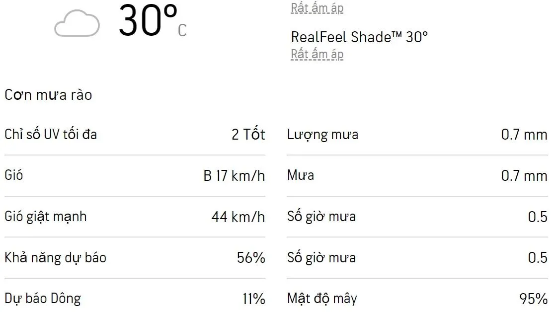 Dự báo thời tiết TPHCM 3 ngày tới (3/1 - 5/1): Trời không mưa, buổi sáng trời mát