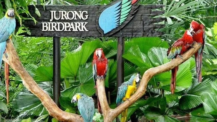 Singapore: Vườn chim Jurong sẽ đóng cửa vĩnh viễn từ hôm nay 4/1/2023