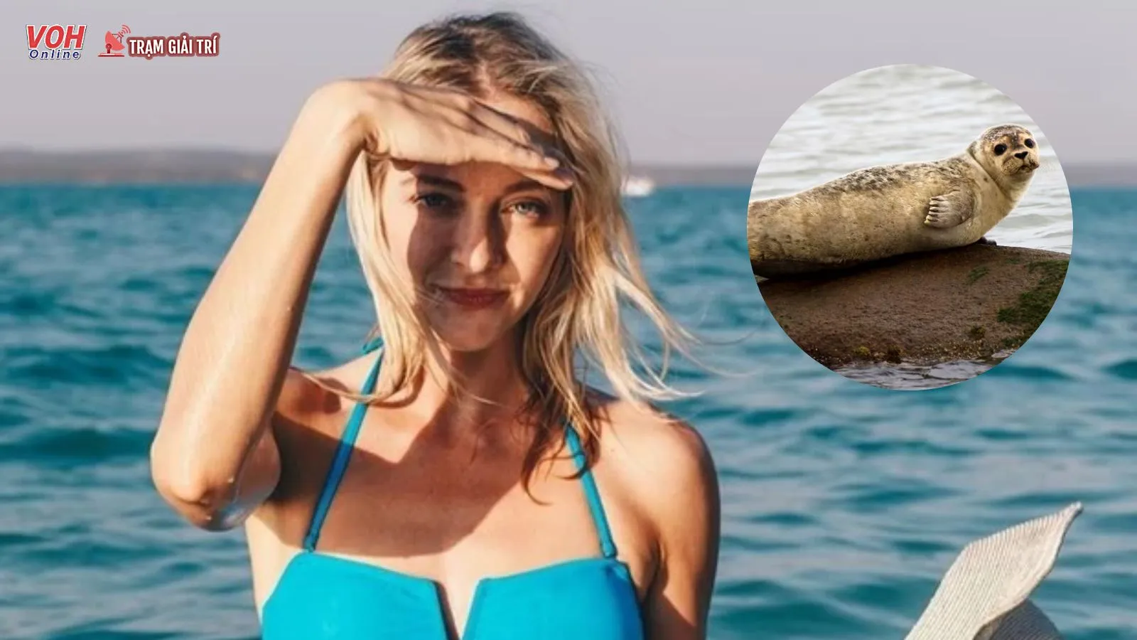 Một nữ diễn viên bị hải cẩu tấn công khi đang tắm biển