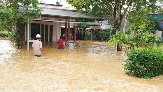 Dự báo năm 2023 sẽ có khoảng 5-6 cơn bão ảnh hưởng đến đất liền